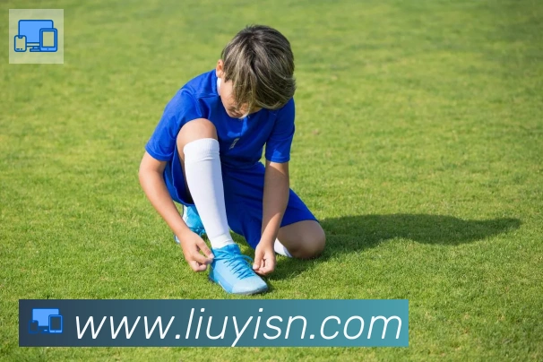 博鱼官网登录入口发展历程